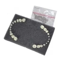 Dientes reposición tipo Ak-6