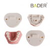 Tipodonto infantil AK6 Bader con placa base