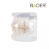 modelo-dental-para-practica-de-ortodoncia-bader