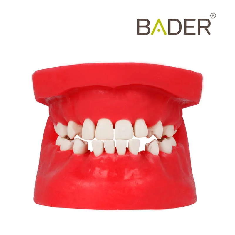 Tipodonto quirúrgico