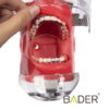 0904014-Fantoma-Periodoncia