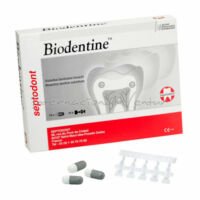 Sustituto de dentina Biodentine
