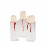 Set de Dientes Endo para Práctica