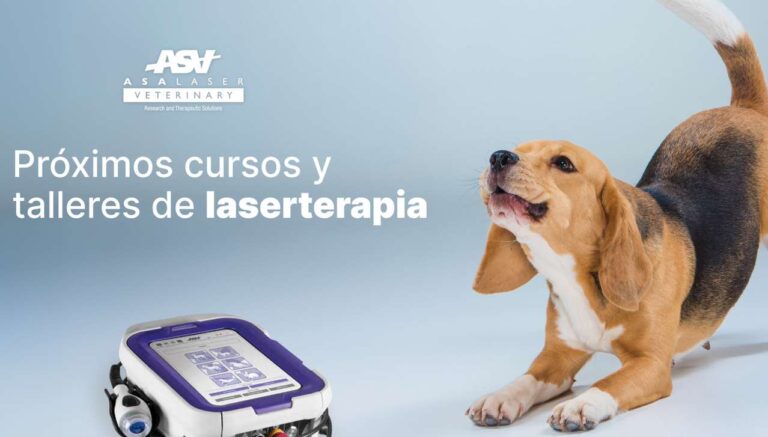 TERAPIA CON LASER EN ANIMALES-VETRRINARIA