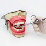 Simulador de anestesia dental Bader