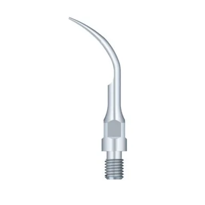 Punta GS1. Universal profilaxis curva.