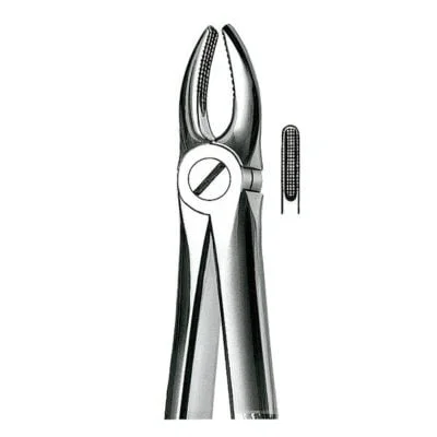 E1 Forceps N.1 Incis-Canin.Sup
