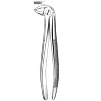 E33 Forceps N.33 Raices Inf.