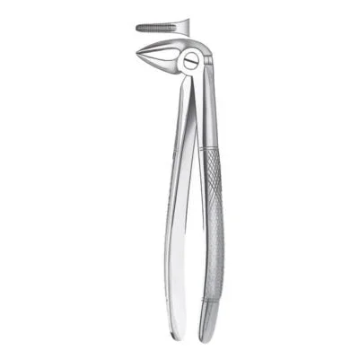 33 1/2 Forceps Raices Inferior