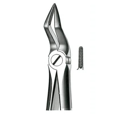 E51A Forceps N.51A Raices Sup.