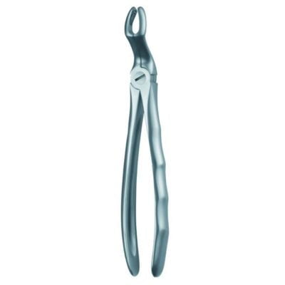 67A Forceps Cordal Superior