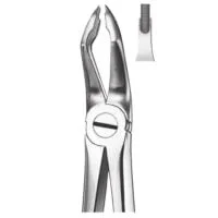 M117 Forceps Molares Superior.