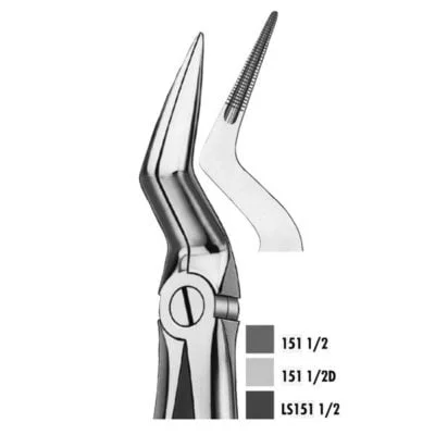 151 1/2 Forceps Raices Superio