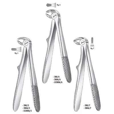 280/6 For.Klein Niño Molar.Inf