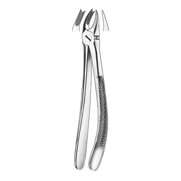 366R Forceps Molar Sup. Dcha