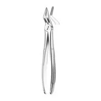 M2051 Forceps Raices Superior.
