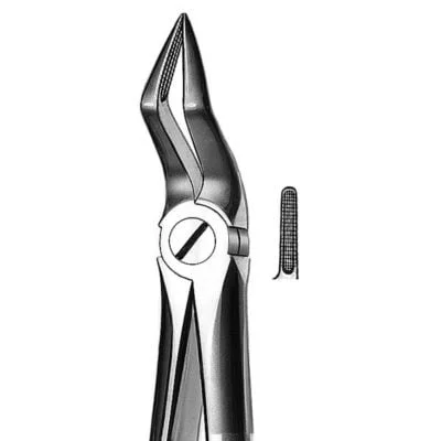 M2051A Forceps Raices Sup.