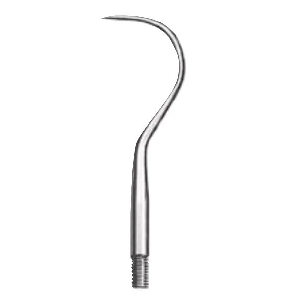 1078/23 Punta Explor.Intercamb