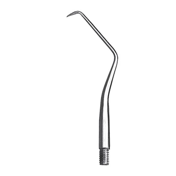 1078/17 Punta Explor.Intercamb.