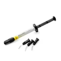 60019754  Brilliant Everglow Flow  A2/B2 Jer.