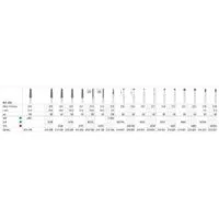 Fg Zirkon Bearbeitungs Set