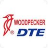 Woodpecker