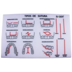 Modelo para práctica de sutura